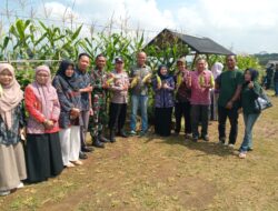 Peresmian SBC Sukasetia, Panen Raya Jagung Perkuat Ketahanan Pangan dan Dorong Edu Agro Ekowisata