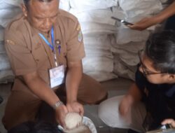Bulog Ciamis Cek Droping Banpang Beras di Sindangkasih, Pastikan Kualitas dan Timbangan Sesuai